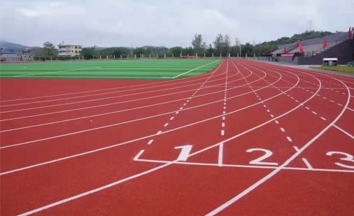 临川实验学校食堂图片